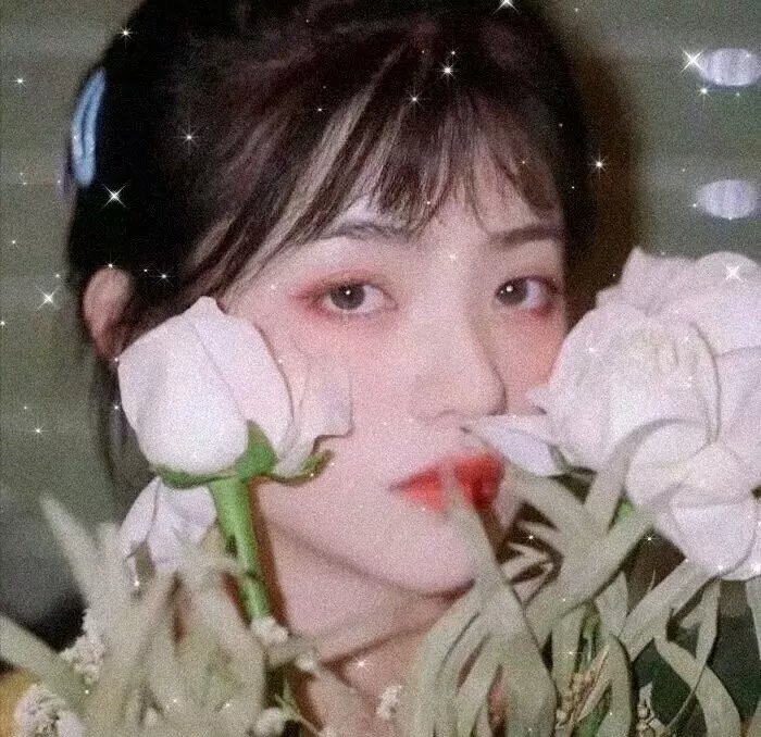 格子间女人